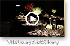 2014 luxury X-MAS Party