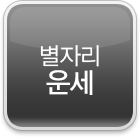 별자리 운세