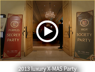 2013 luxury X-MAS Party